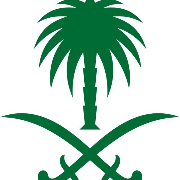 ش13 600x600